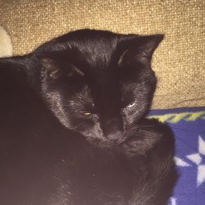 Meet your Posher, R donna